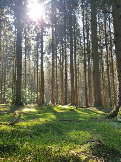 Gite N°4, En Pleine Nature, Frontalier Signy-le-Petit Kültér fotó