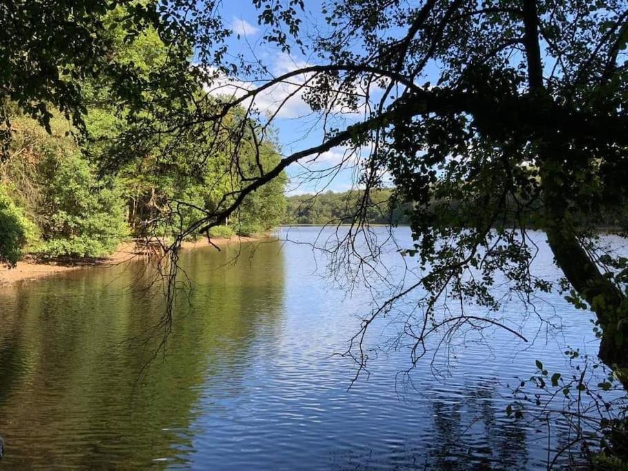 Gite N°4, En Pleine Nature, Frontalier Signy-le-Petit Kültér fotó